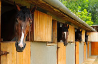 free Carleton Rode stable construction quotes